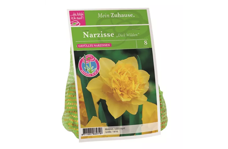 Blumenzwiebel Narzisse 'Dick Wilden'