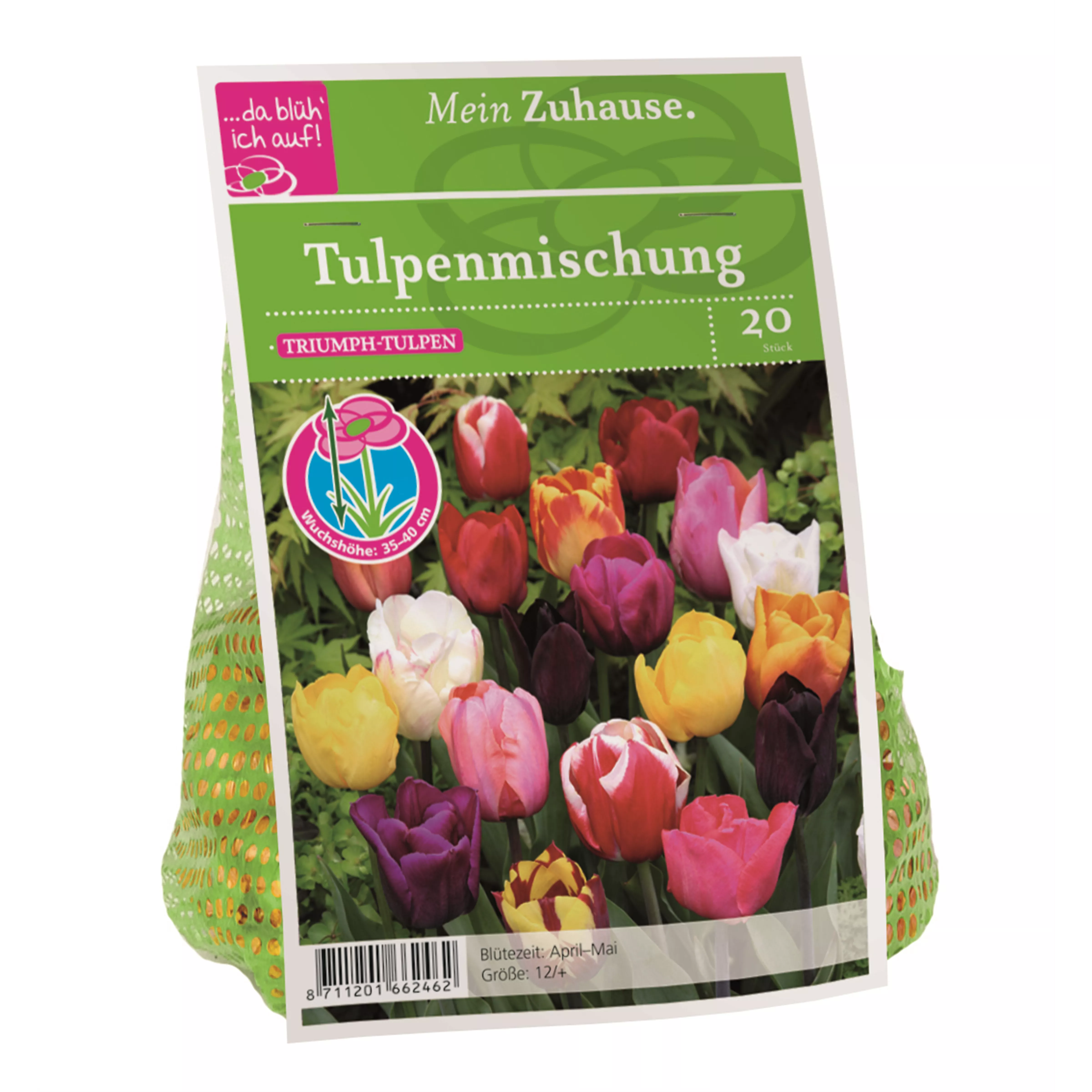 Blumenzwiebel Triumph Tulpen Mischung